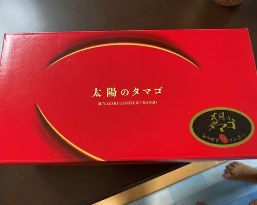 マンゴー１